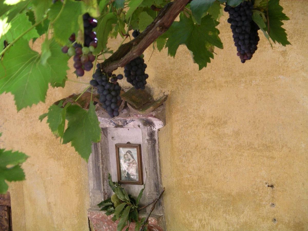 Villa Casa 1659 - Casa Parrucchiere à Gandria Extérieur photo